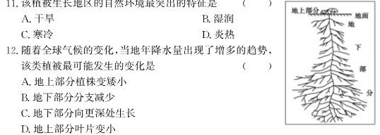 山东省日照市2024-2025学年高三上学期期中质量监测政治y试题